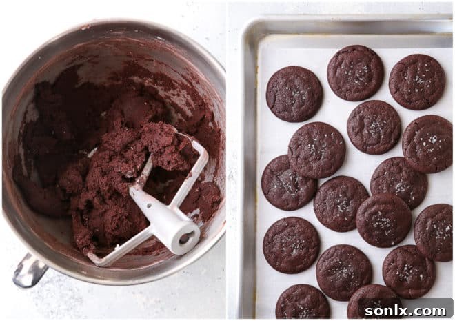 chocolate cookie dough and baked chocolate cookies