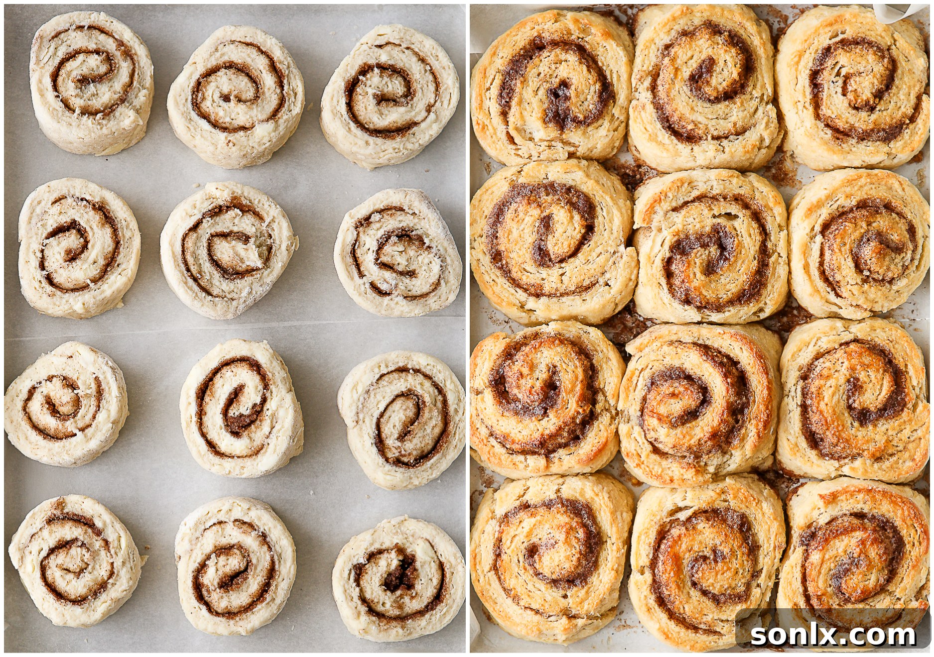 A comparison image showing cinnamon roll biscuits before and after baking, highlighting the rise and golden-brown finish.