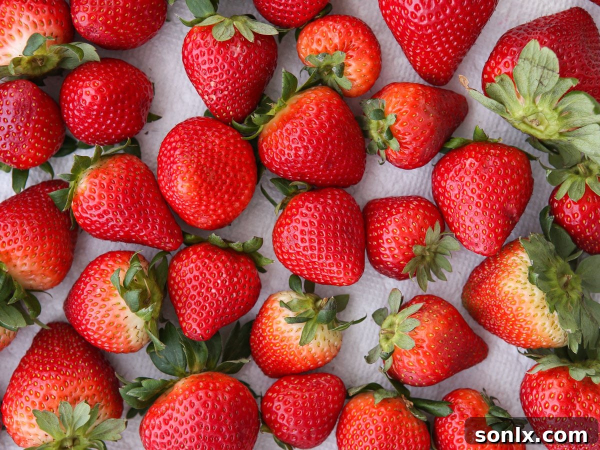 Clean, dry whole strawberries ready for dipping.
