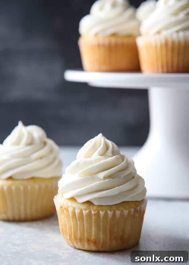 A stunning cupcake adorned with the fluffiest and creamiest vanilla frosting