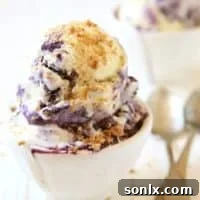 Blueberry Pie Ice Cream | completelydelicious.com
