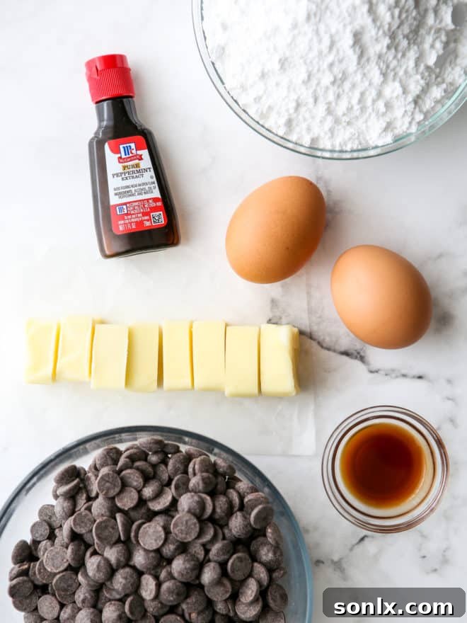 A collection of essential ingredients for peppermint fudge, including chocolate, butter, powdered sugar, eggs, and extracts, arranged neatly on a surface.