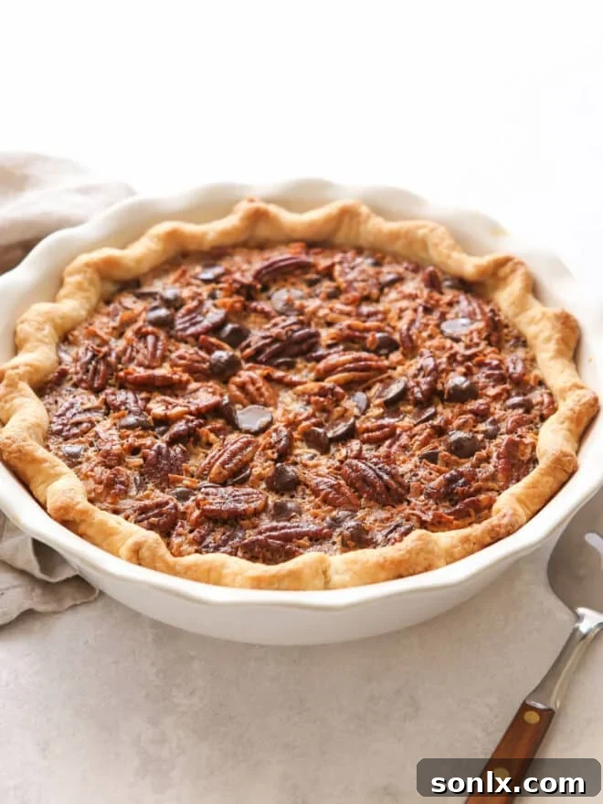 side view of chocolate coconut pie