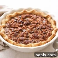 side view of chocolate coconut pie