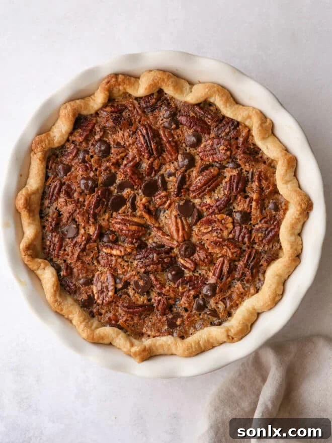 chocolate coconut pie baked in a pie dish