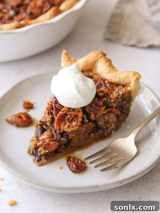 closeup of chocolate coconut pie on a plate