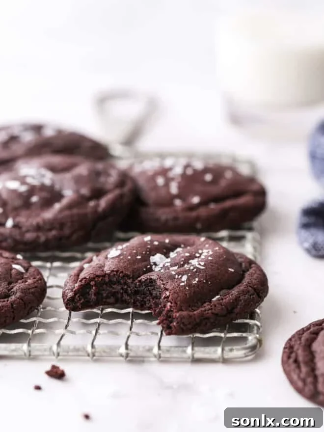 Flour Power: The Science Behind Perfect Baking 5 A soft, chewy chocolate cookie with a bite taken out, revealing its tender, slightly crumbly texture
