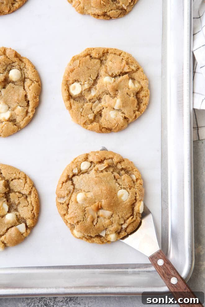 Golden Coconut White Chocolate Chip Cookies 5 Delicious Toasted coconut and white chocolate chip cookies on a plate