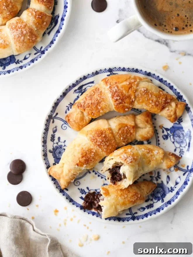 Golden puff pastry chocolate croissants arranged beautifully on a white plate