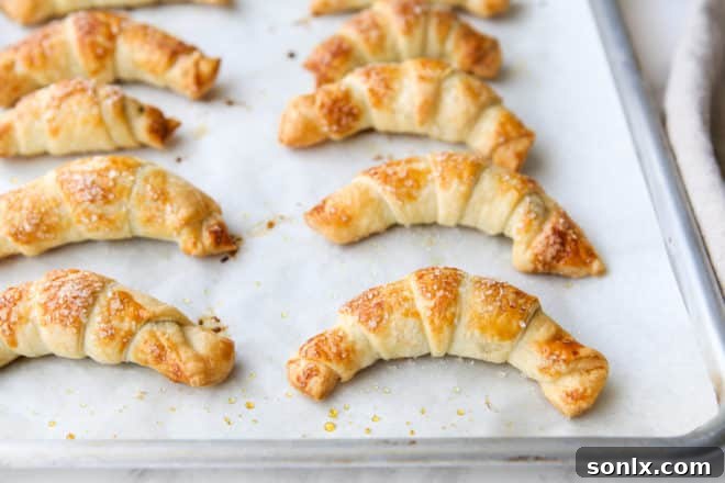 Freshly baked golden puff pastry chocolate croissants on a cooling rack