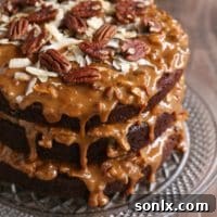 Cola Chocolate Dream: Dulce de Leche, Coconut & Pecan Indulgence 2 Chocolate Cola Cake with Dulce de Leche, Coconut and Pecan Icing
