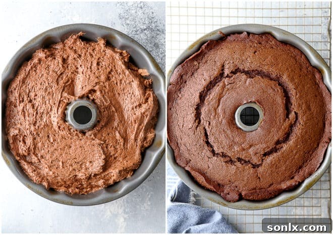 A comparison photo showing a chocolate stout bundt cake cooling in the pan, and then beautifully unmolded onto a wire rack.