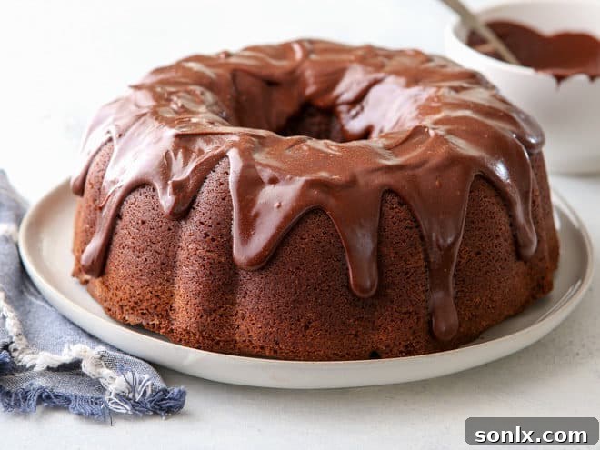 A top-down view of the moist chocolate stout bundt cake, generously drizzled with rich chocolate ganache.