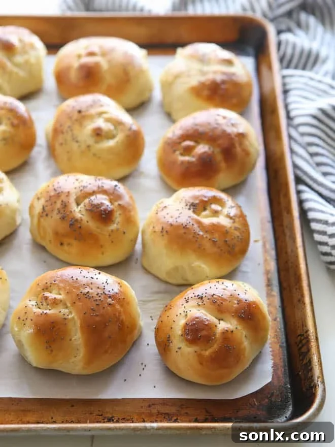 Multiple warm, golden-brown knotted dinner rolls artfully arranged, some with poppy seeds, on a light surface, highlighting their homemade appeal.