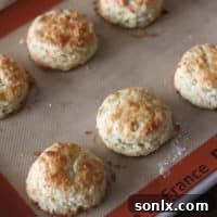 Delicious Cheese Biscuits with Scallions and Black Pepper