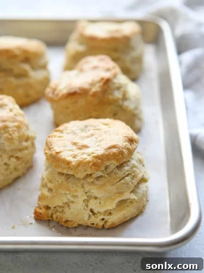 Easy Buttermilk Biscuits | completelydelicious.com