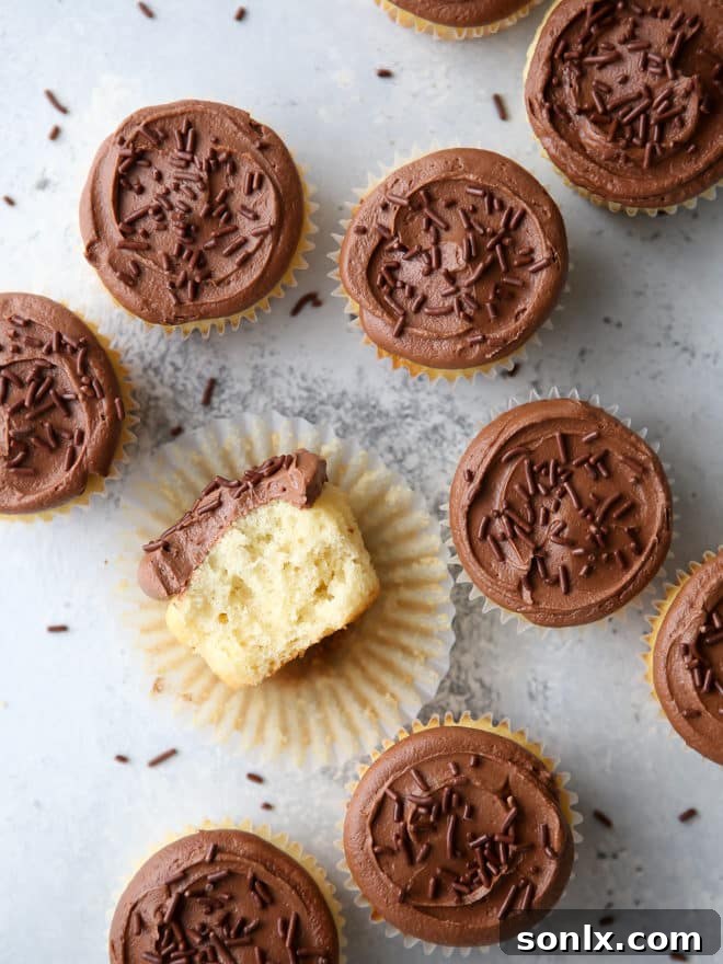 Soft and fluffy vanilla cupcakes with fudge buttercream frosting