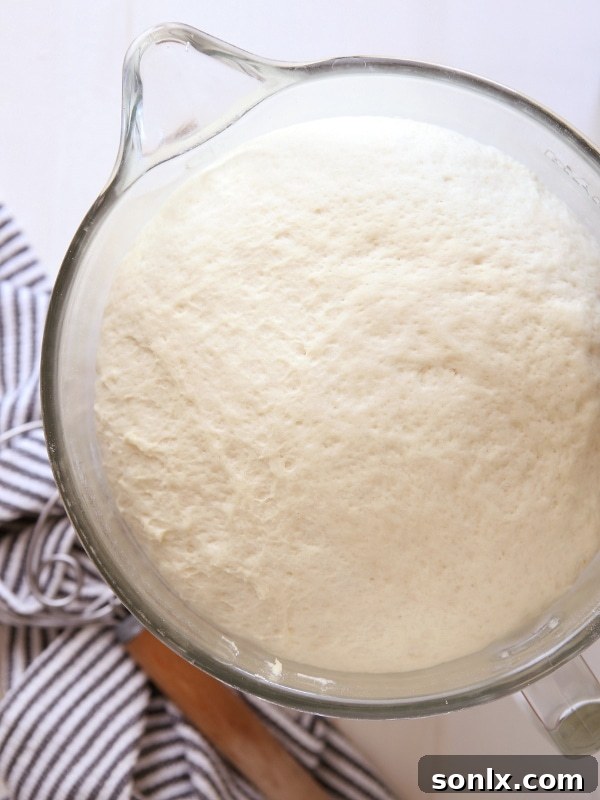 Homemade Parker House Rolls: The Ultimate Side Dish for Holidays | completelydelicious.com