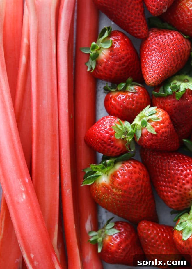 Fresh, vibrant strawberries and tart rhubarb, ready for baking
