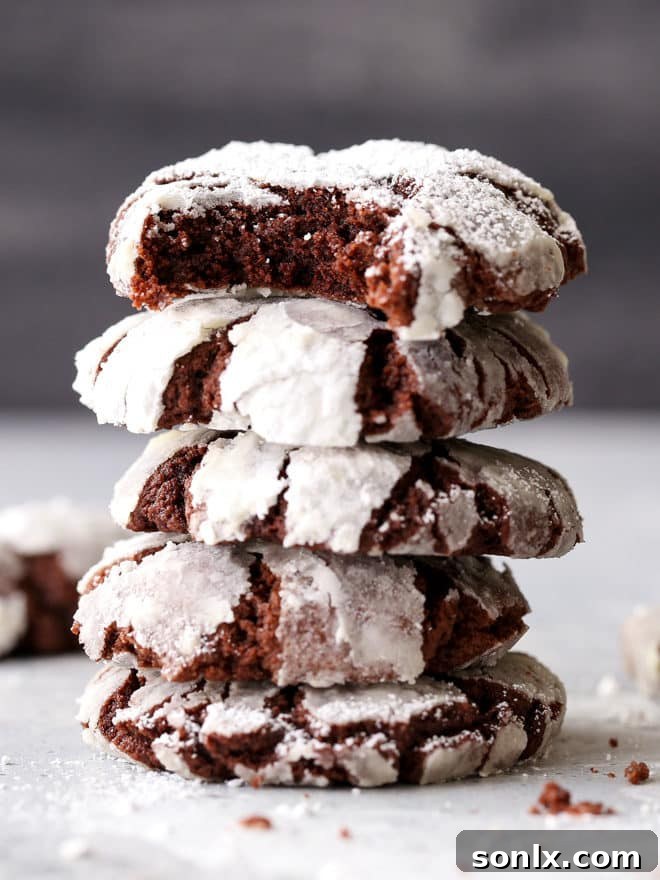 These rich and fudgy chocolate crinkle cookies have a hint of coffee and cinnamon that sets them apart. They're simply irresistible!
