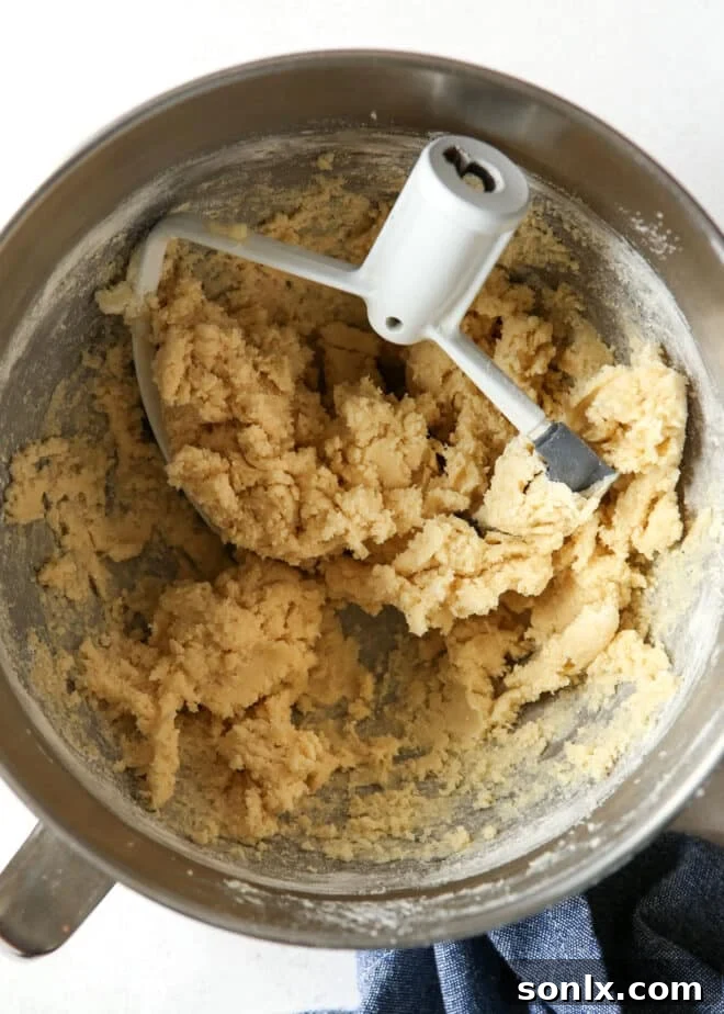 sugar cookie dough in mixing bowl
